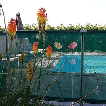 Le Comptoir Des Ecoliers